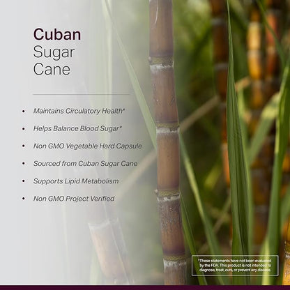 Anew Vitaㅤ Policosanol Supplement - Healthy Lipid Levels, Platelet Function & Circulation, Cuban Sourced Sugarcane, 40mg per Serving, Non-GMO, Gluten-Free - 120 Veggie Capsules, Made in USA