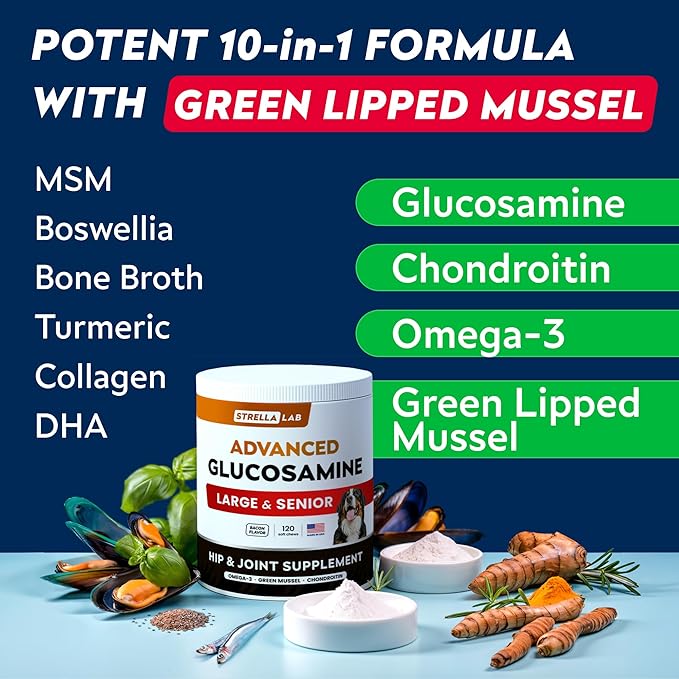 STRELLALAB Senior Advanced Glucosamine Joint Supplement for Dogs - Green Lipped Mussel & Collagen - Large Breeds - Hip & Joint Health - Bacon Flavor - 120 Chews