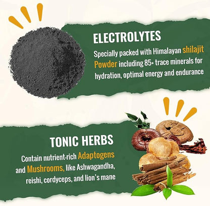 Electrolytes Powder Plus Super Greens & Tonic Herbs - Low Sugar Electrolyte Drink Mix for Hydration, Energy, Gut & Immune - with Shilajit, Chlorella, Organic Greens, Adaptogens -Unflavored-30 Servings