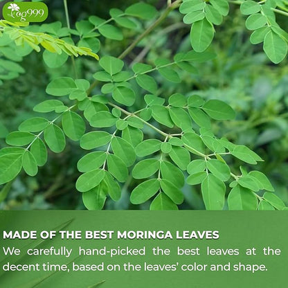 TOG999, Premium 30 Moringa Leaf Tea Bags, 100% Natural & Pure from Moringa Leaves. Loose Leaf Moringa Herbal Tea. Moringa Leaf Tea. No Sugar, No Caffeine, No Gluten, Vegan.