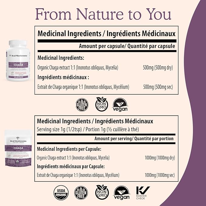 Real Mushrooms Chaga Mushroom Powder – Organic Chaga Extract from Fruiting Body – for Wellness & Energy Support – Vegan, Non-GMO, 150 Servings – Mushroom Supplement for Daily Use