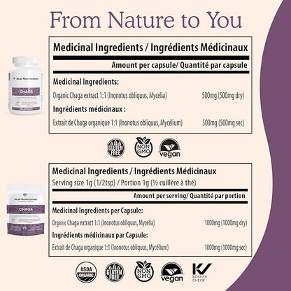 Real Mushrooms Chaga Mushroom Powder – Organic Chaga Extract from Fruiting Body – for Wellness & Energy Support – Vegan, Non-GMO, 150 Servings – Mushroom Supplement for Daily Use