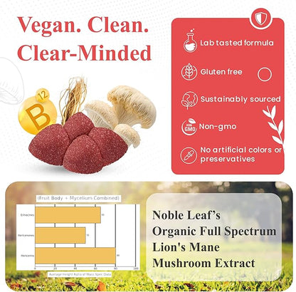 Lion's Mane Mushroom Gummies for Focus and Energy - Focus Gummies for Adults with American Ginseng & B12 for Clarity & Natural Energy, Gluten Free, Fruit Punch Flavor, 7 Count