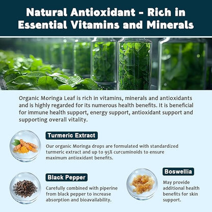 (2 Pack) Organic Moringa Leaf Extract Liquid Drops for Energy, Antioxidant, Skin, Immune Support, High Absorption, Moringa Supplement with Turmeric, Boswellia, Black Pepper- Vegan, Non-GMO, 1 Fl Oz
