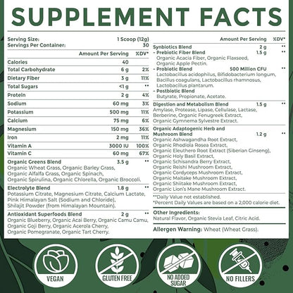 Electrolytes Powder Plus Super Greens & Tonic Herbs - Low Sugar Electrolyte Drink Mix for Hydration, Energy, Gut & Immune - with Shilajit, Chlorella, Organic Greens, Adaptogens -Unflavored-30 Servings
