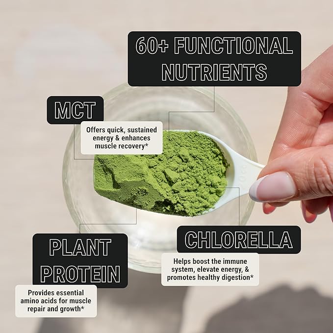 ON3 Athletic Protein Greens Supplement with chlorella, eleuthero and MCT Powder (5 Servings, Herbal)