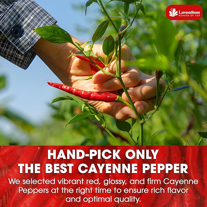 Lavendium, Premium 1.56 lbs Cayenne Pepper Powder– Pure Ground Red Pepper, Bold and Spicy Flavor