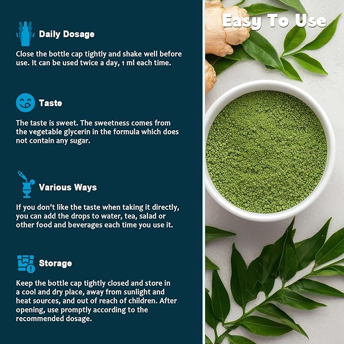 (2 Pack) Organic Moringa Leaf Extract Liquid Drops for Energy, Antioxidant, Skin, Immune Support, High Absorption, Moringa Supplement with Turmeric, Boswellia, Black Pepper- Vegan, Non-GMO, 1 Fl Oz