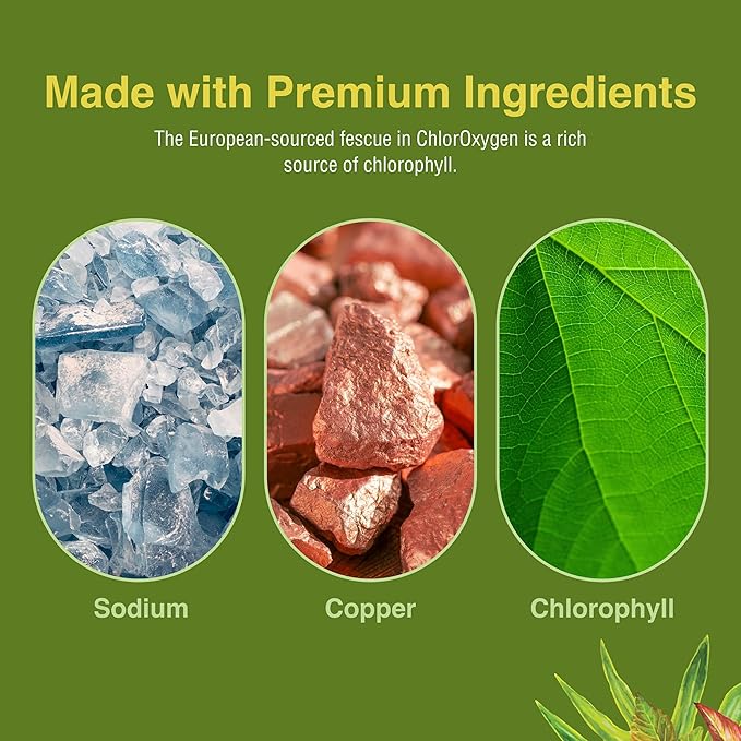 Herbs Etc. ChlorOxygen Chlorophyll Concentrate - Aids Healthy Blood Circulation - High-Altitude Environment Support - Energy Support - 120 Softgels (120 Servings) - 2 Pack