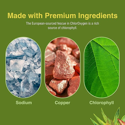 Herbs Etc. ChlorOxygen Chlorophyll Concentrate - Aids Healthy Blood Circulation - High-Altitude Environment Support - Energy Support - 120 Softgels (120 Servings) - 2 Pack