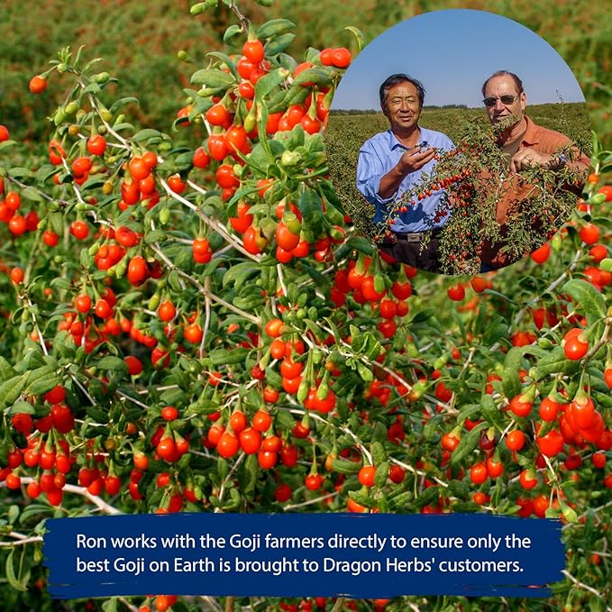 Dragon Herbs Heaven Mountain Goji Berries 8 oz. (227g), moist, fight stress, gain strength, eye vision tonic, all natural ingredients