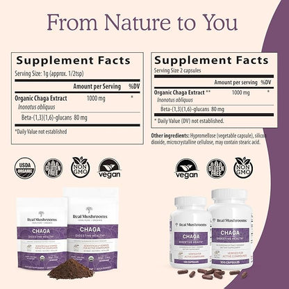 Real Mushrooms Chaga Mushroom Powder – Organic Chaga Extract from Fruiting Body – for Daily Wellness & Energy Support – Vegan, Non-GMO, 60 Servings Mushroom Supplement