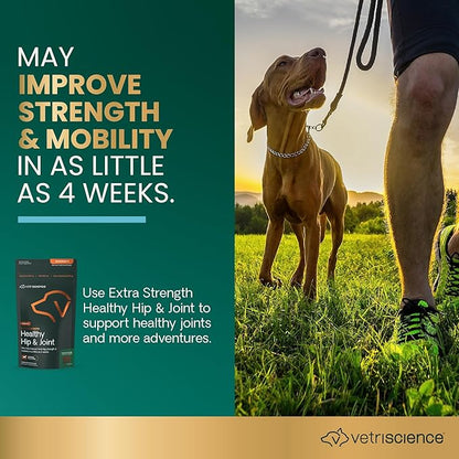 VETRISCIENCE Extra Strength Healthy Hip & Joint Chews, GlycoFlex Glucosamine and Green-Lipped Mussel Joint Support Supplement for Dogs, Promote Mobility & Soothe Joint Discomfort, Chicken, 60 Count