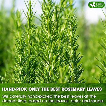 FRESHDRINKUS, Premium 35 Rosemary Leaf Tea Bags, 100% Natural and Pure Rosemary Dried Leaves, Pure Rosemary Herbal Tea, No Additives, No Caffeine, No Gluten, Vegan.