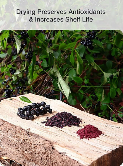 Green Valley Superfoods Organic Aronia Berry 4:1 Extract Chokeberry Powder (4 Ounce)