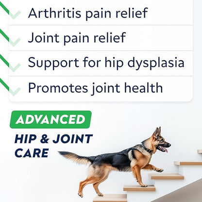 STRELLALAB Senior Advanced Glucosamine Joint Supplement for Dogs - Green Lipped Mussel & Collagen - Large Breeds - Hip & Joint Health - Bacon Flavor - 120 Chews