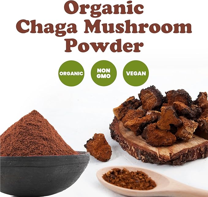 Food to Live Organic Chaga Mushroom Powder, 6 Ounces – All Natural Vegan Superfood for Immunity and Holistic Wellness. Rich in Antioxidants and Nutrient-Packed. Non-GMO. 100% Pure. Kosher