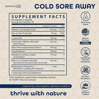 L Lysine Cold Sore Treatment Support, Herbal Cold Sore Supplement w/Zinc Picolinate, Olive Leaf Extract, Beta Glucan, & Bee Propolis for Skin & Lip Health, 90 Capsules
