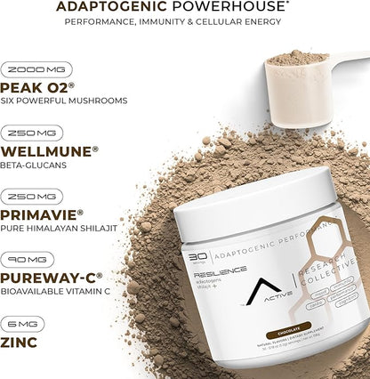 ARC Resilience Mushroom Powder Supplement with Lion’s Mane, Cordyceps, Reishi, Shilajit, Beta-Glucans, Zinc and Vitamin C for Focus, Energy, Immunity, Performance, and Memory, Chocolate, 30 Servings