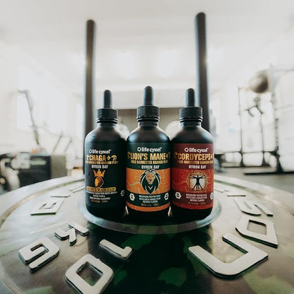 Life Cykel This is It Pack - Chaga, Lions Mane & Cordyceps Mushroom Extract - Full-Spectrum Mushroom Tincture for Energy, Mental Clarity & Immune Support - Vegan, Non-GMO- 2Fl/Oz Per Bottle