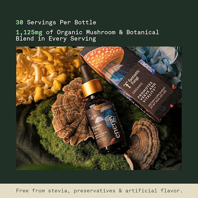 Cordyceps Mushroom Extract Liquid Fantastic Fungi Energy Elixir, 4-in-1 Vitality and Stress Support Supplement w/ Ginseng, Turkey Tail, Rhodiola - 100% Organic & Natural, 30 Servings, 1 fl oz