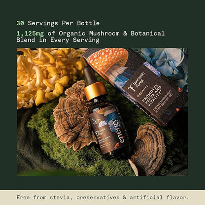 Cordyceps Mushroom Extract Liquid Fantastic Fungi Energy Elixir, 4-in-1 Vitality and Stress Support Supplement w/ Ginseng, Turkey Tail, Rhodiola - 100% Organic & Natural, 30 Servings, 1 fl oz