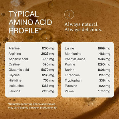 Synchro Genesis Plant Based Protein Powder | Chocolate Superfood | 30g of Organic Protein Per Serving | <1g Sugar | 1g Net Carbs | No Stevia | Superfoods + Prebiotics | Vegan + Keto Friendly