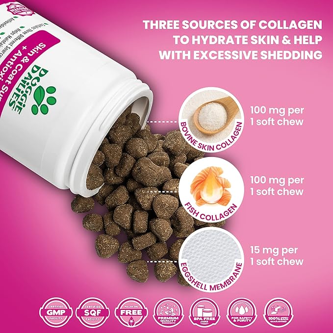 Doggie Dailies Skin & Coat Supplement + Antioxidant Support, 225 Soft Chews, Salmon Oil for Dogs Skin and Coat with Collagen, Omega 3, Krill Oil, Biotin, & Coconut Oil for Dogs (Salmon)