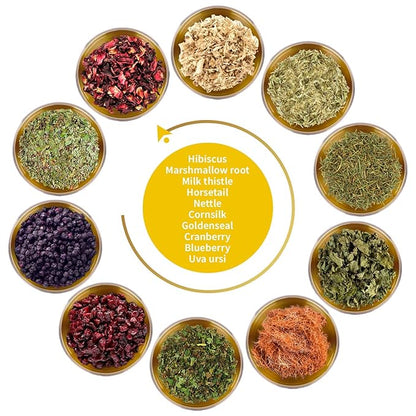 FunctionaliQi Flush Herbal Tea for Urinary Health - Marshmallow Root Milk Thistle Cornsilk and Goldenseal, Hibiscus Blend with Nettles, Cleansing Herbs and Cranberries (14 tea bags)