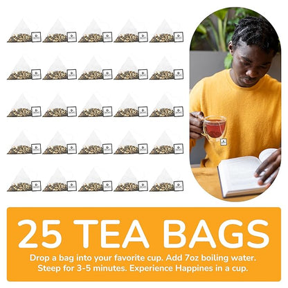 BREWIX, Royal Orange Spice Black Tea (25 Pyramid Tea Bags) | Tea with Orange and Spices | Premium Tea | Iced Tea Bags | Caffeinated And Sugar-Free