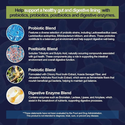 Probiotics for Digestive Health, 80 Billion CFU Probiotics, Prebiotics, Postbiotics & Digestive Enzymes, Gut Health Capsules with Berberine, Cinnamon, L-Glutamine, for Men & Women, 240 Counts