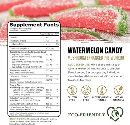 Ambrosia Kinetic Organic Preworkout, Mushroom Enhanced Natural Pre Workout Supplement, Nootropic Superfood Powder for Energy (Watermelon Candy)