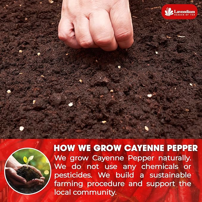 Lavendium, Premium 1.56 lbs Cayenne Pepper Powder– Pure Ground Red Pepper, Bold and Spicy Flavor