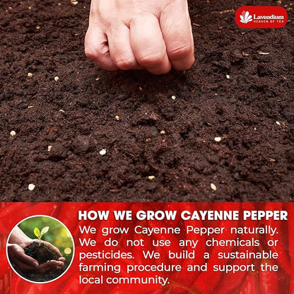 Lavendium, Premium 1.56 lbs Cayenne Pepper Powder– Pure Ground Red Pepper, Bold and Spicy Flavor