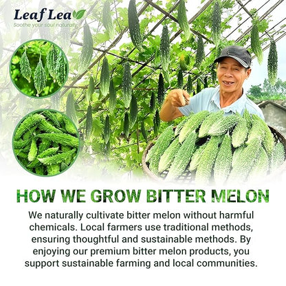 LeafLea Natural Bitter Melon Tea Bags, 40 Cundeamor Herbal Tea Bags – Melon Amargo Gohyah Fruit Tea | Wellness & Digestion Support | Caffeine-Free, Non-GMO, Sugar-Free, Vegan