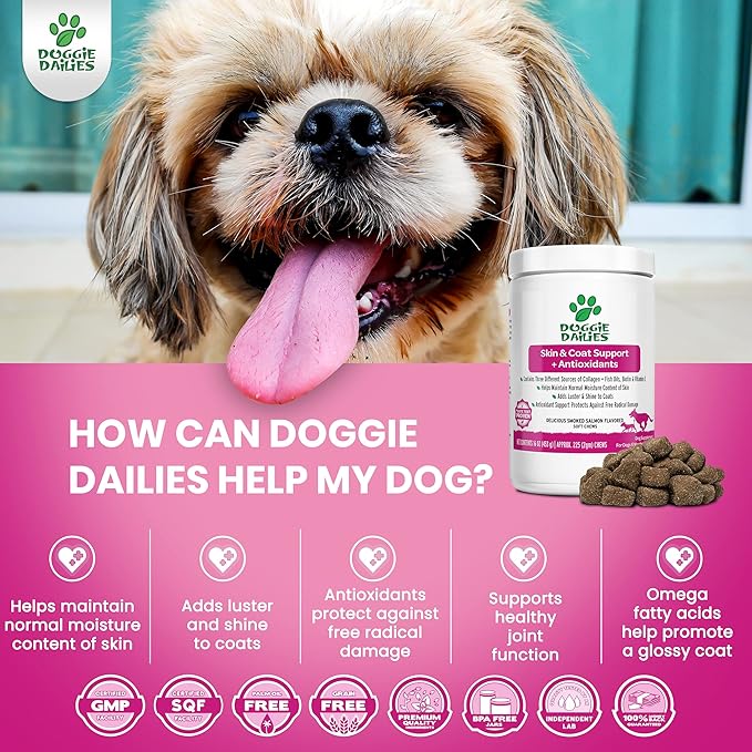 Doggie Dailies Skin & Coat Supplement + Antioxidant Support, 225 Soft Chews, Salmon Oil for Dogs Skin and Coat with Collagen, Omega 3, Krill Oil, Biotin, & Coconut Oil for Dogs (Salmon)
