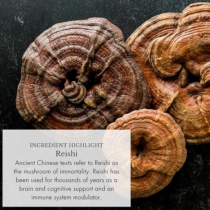 Anima Mundi Apothecary Adaptogenic 7 Mushroom Drops - with Organic Mushroom Extracts - Liquid Immune Support Tincture with Reishi, Lion's Mane, Cordyceps & Chaga Mushroom Liquid Extract (2oz)
