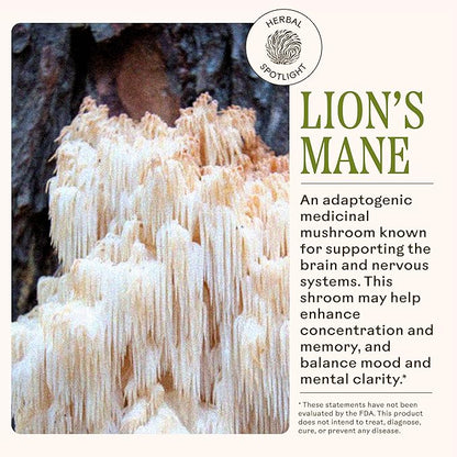 Wooden Spoon Herbs - Brain Bloom Supplement | Boosts Memory, Focus, Concentration, & Mental Agility | Organic Rosemary, Bacopa, & Lion’s Mane Supplement | Gluten-Free, Non-GMO, Vegan (60 CT, Capsules)